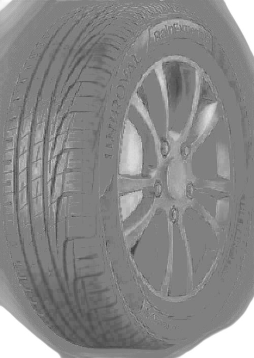 Uniroyal RAINEXPERT 5