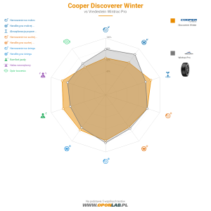 Cooper Discoverer Winter Miniatura 1200x1200