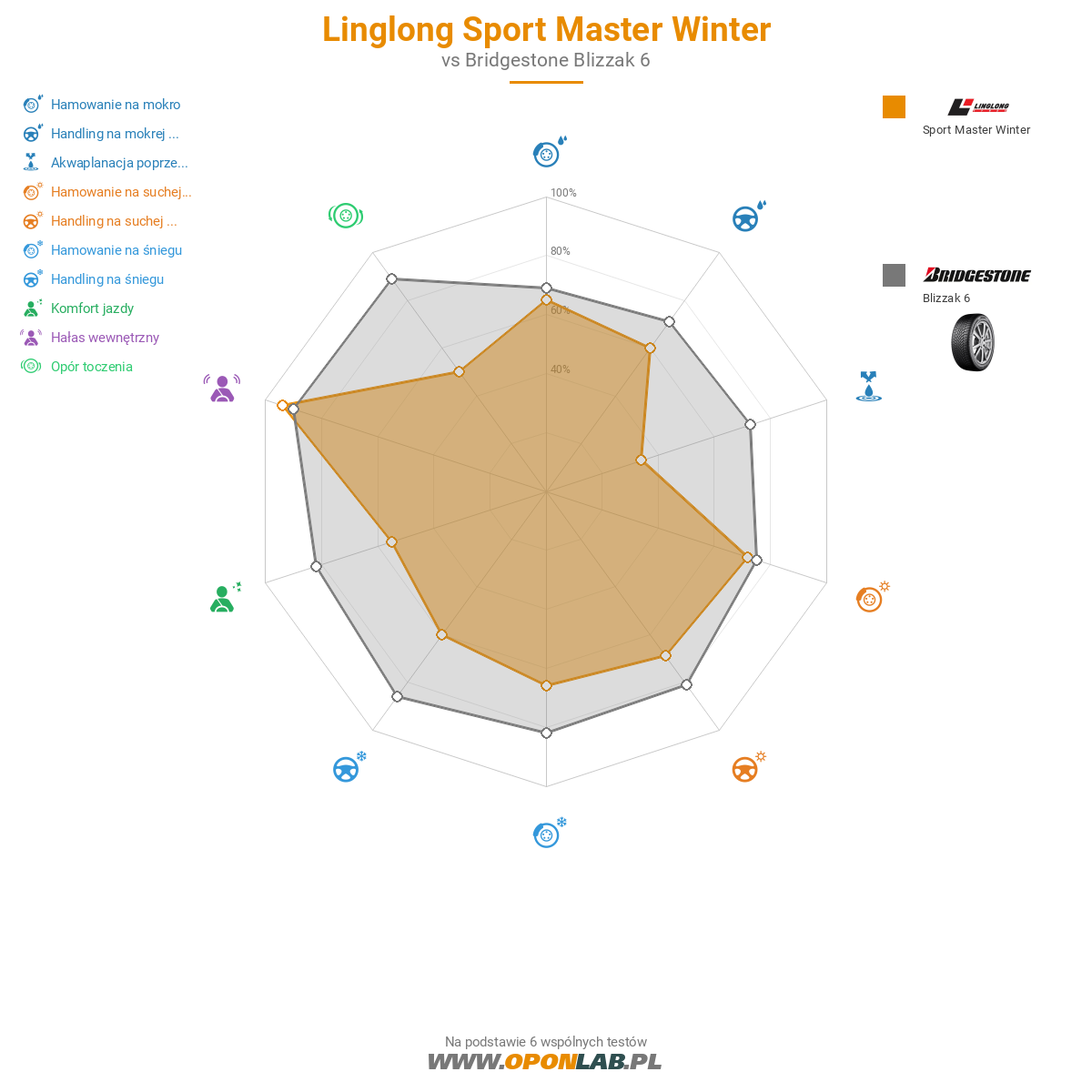 Linglong Sport Master Winter Obraz