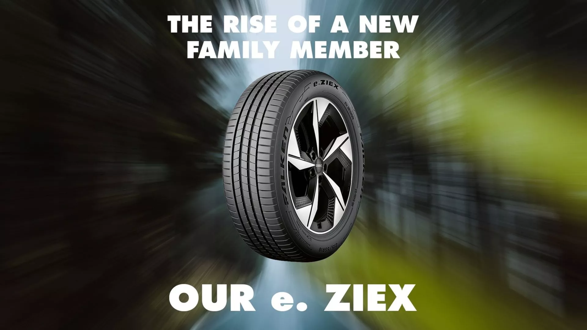 Falken e.Ziex Obraz