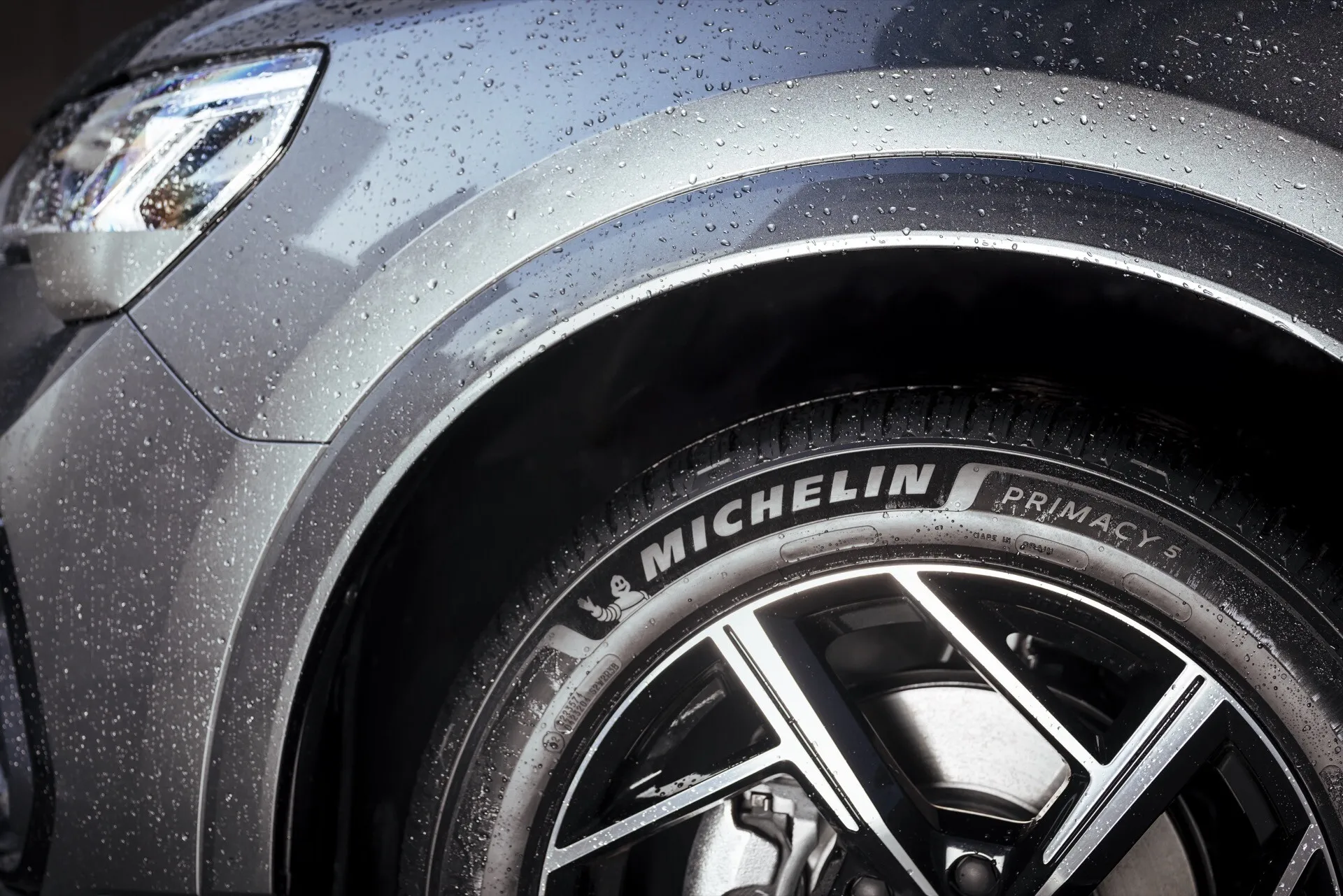Michelin Primacy 5 Obraz