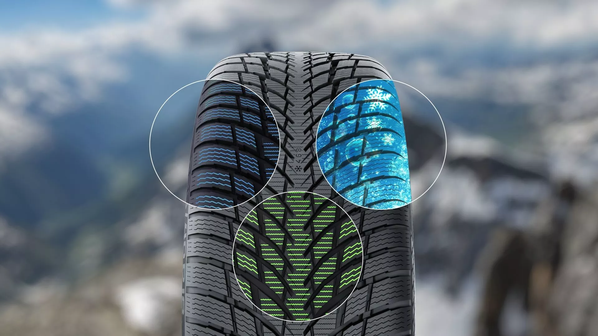 Nokian WR Snowproof P Obraz